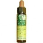 Artesania Agr&iacute;cola Plantis de ch&acirc;taignier blanc n 35 10 ml