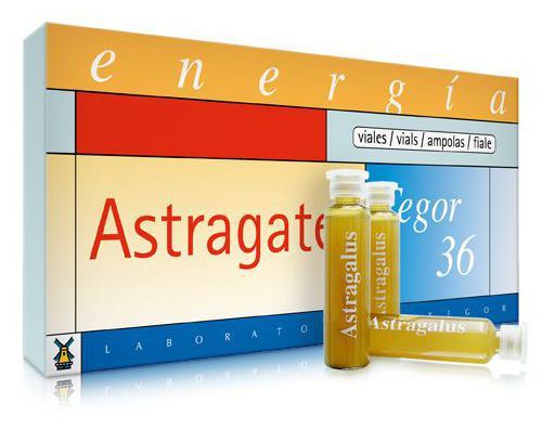 Laboratorios Tegor Astragater tegor 36 gel&eacute;e royale 10 ampoules