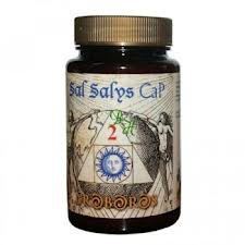 Jellybell Salys Sel 02 Cap 60 Comprim&eacute;s