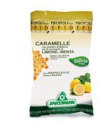 Epid Bonbons Citron Et Melisa 24 Unit&eacute;s