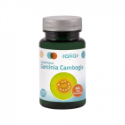 Garcinia Cambogia 100 comprim&eacute;s