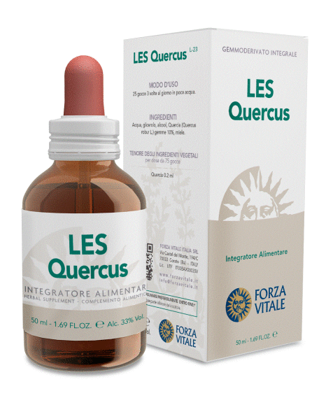 Quercus Robur Ch&ecirc;ne Commun 50 ml