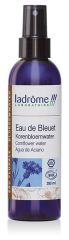 Eau Bio Bleuet-Bleuet Eau Bio Bleuet-Bleuet