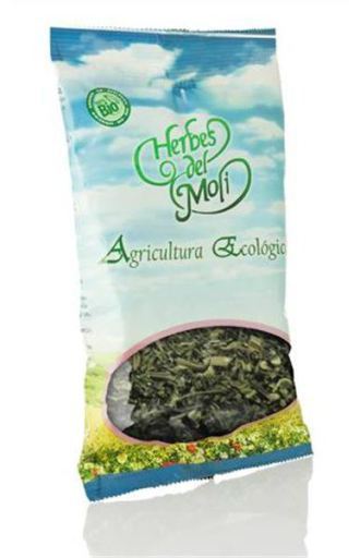 Herbes del Mol&iacute; Dent de Lion Eco Plant