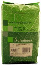 Euphraise plante &eacute;cras&eacute;e