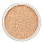 Fond de Teint Min&eacute;ral Spf15 Cookie 10 gr