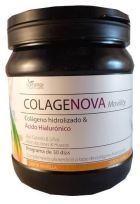 Colagenova Mobility Vanille 390 g