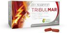 Tribulmar 60 G&eacute;lules V&eacute;g&eacute;tales