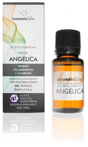 Terpenic Lab Huile Essentielle d'Ang&eacute;lique 5ml