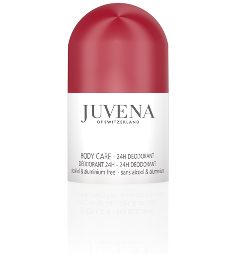 D&eacute;odorant &agrave; bille 24H 50 ml
