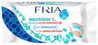 Lingettes hygiéniques antibactériennes à usages multiples 12 unités Lingettes hygiéniques antibactériennes à usages multiples 12 unités