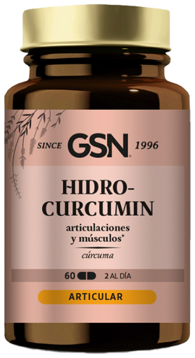 GSN Hydro curcumine 60 Comp