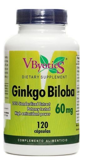 Ginkgo Biloba 120 mg 120 g&eacute;lules