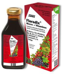 Floradix Fer + Vitamines Floradix Fer + Vitamines