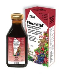 Floradix Fer + Vitamines Floradix Fer + Vitamines