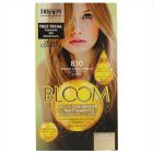 Teinte Bloom Couleur Cr&egrave;me
