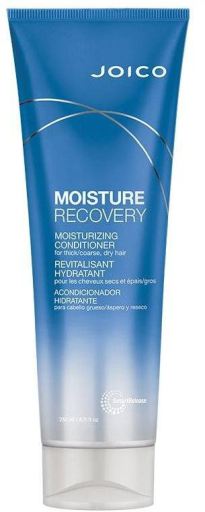 Joico Apr&egrave;s-shampooing r&eacute;cup&eacute;rateur d'humidit&eacute; 250 ml