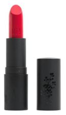 Rouge &agrave; L&egrave;vres Mat 4 gr