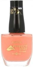 Vernis &agrave; Ongles Perfect Stay Gel Shine