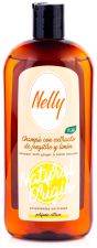 Shampooing Gingembre et Citron d'Origine Naturelle 400 ml Shampooing Gingembre et Citron d'Origine Naturelle 400 ml