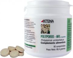 Polyporus Mrl 500 mg 90 comprim&eacute;s