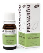 Huile Essentielle de Menthe Poivr&eacute;e Bio 10 ml