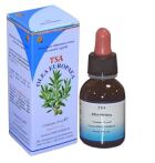 Tsa Feuilles d'Ol&eacute;e Europ&eacute;enne 50 ml