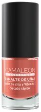 Vernis &agrave; ongles 6 ml