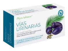 Voies urinaires 28 G&eacute;lules