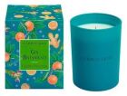Bougie parfumée Gin Botanicals 250 g Bougie parfumée Gin Botanicals 250 g