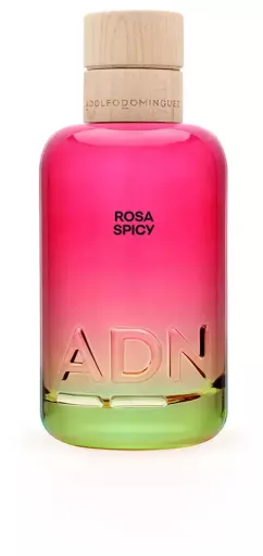 Adolfo Dom&iacute;nguez Dna Rosa Eau de Parfum &Eacute;pic&eacute;e 100 ml
